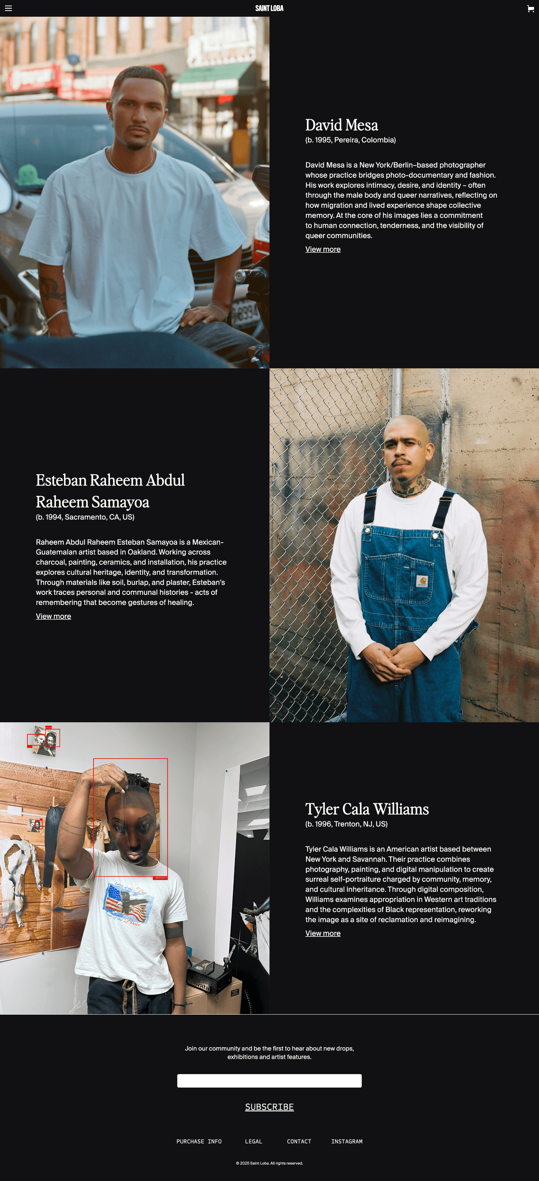 Saint Loba artists page